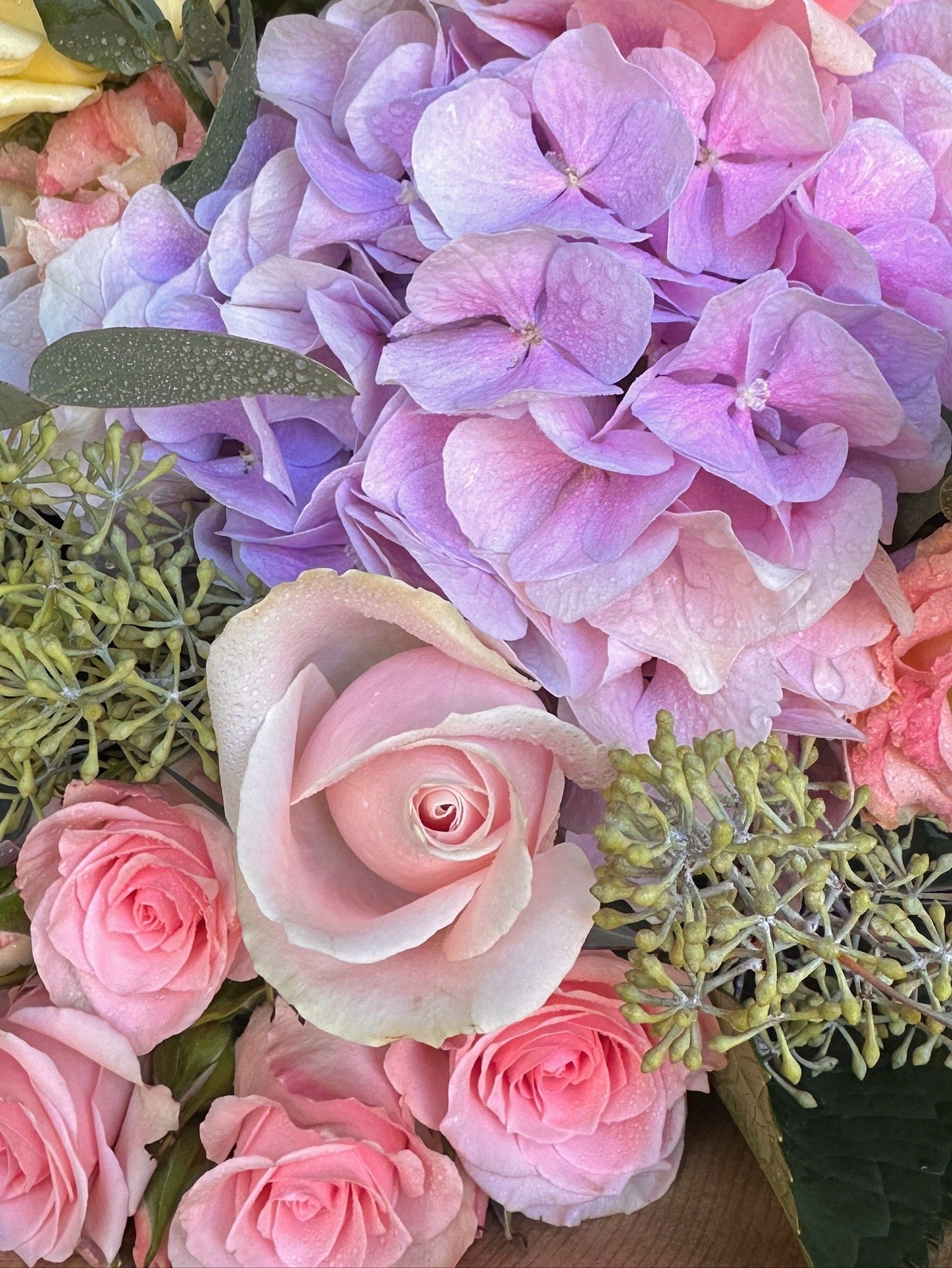 Shades of pink