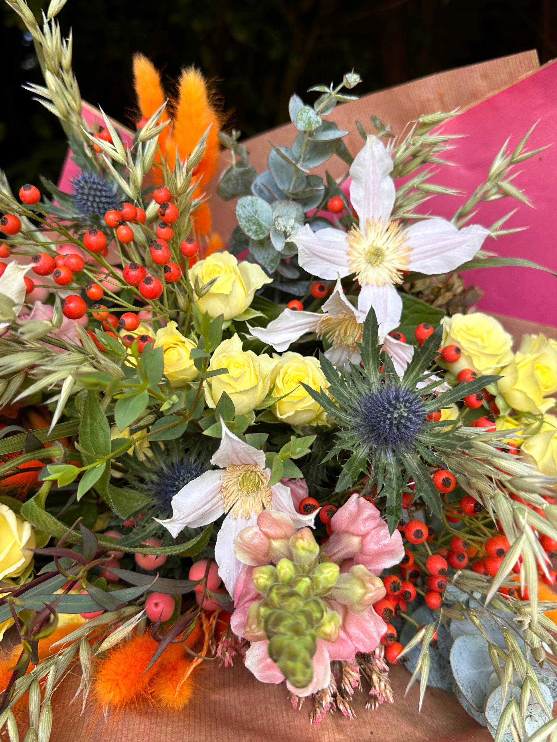 Autumn colours and wild look